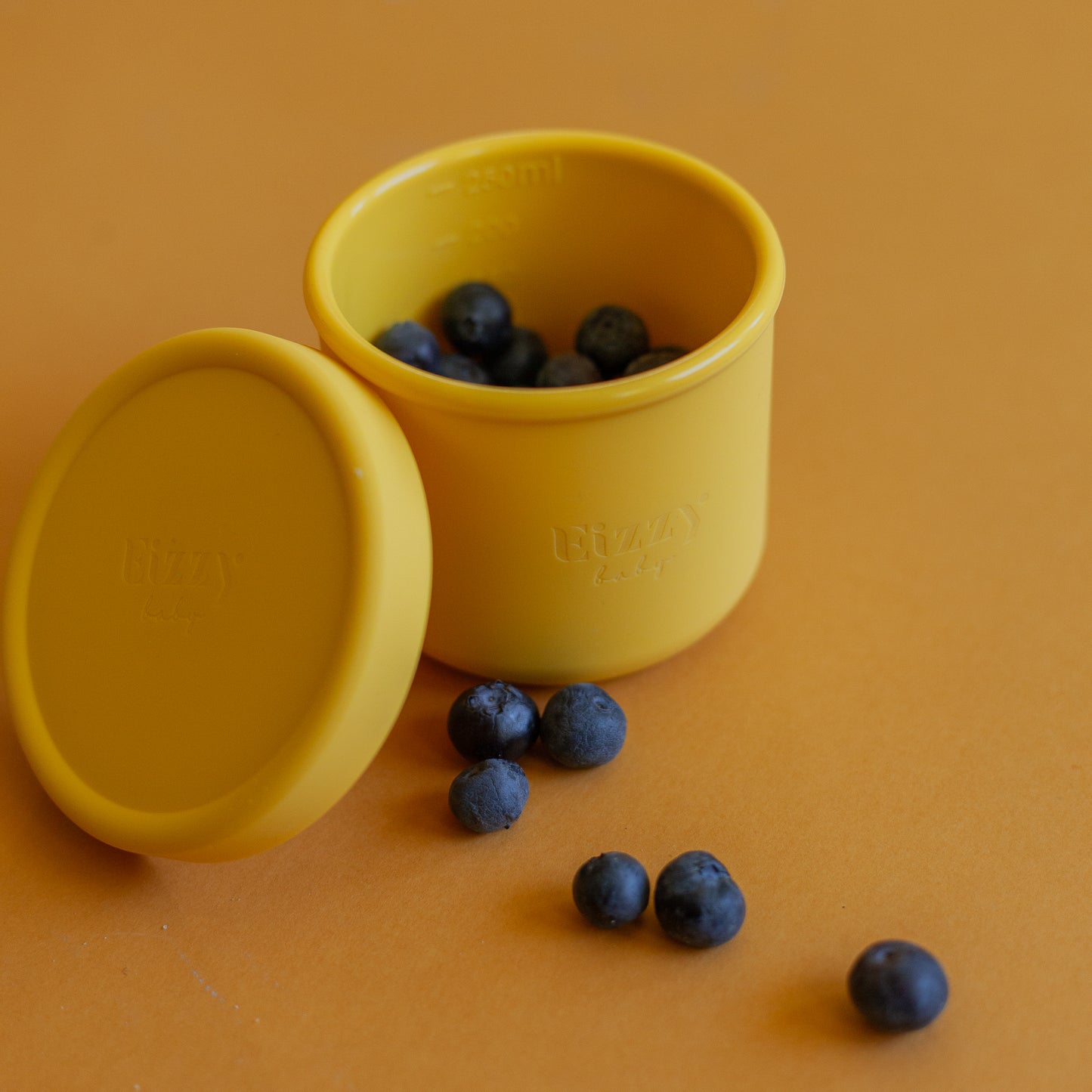 Silicone Bowls with Lids (2 piece set)