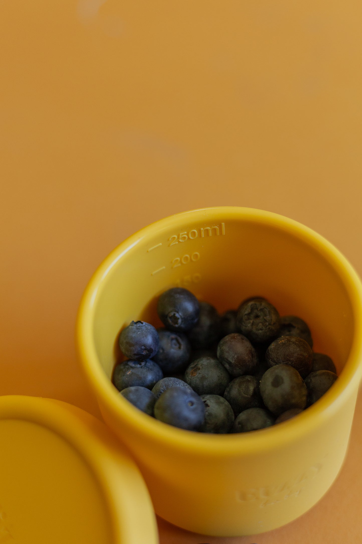 Silicone Bowls with Lids (2 piece set)