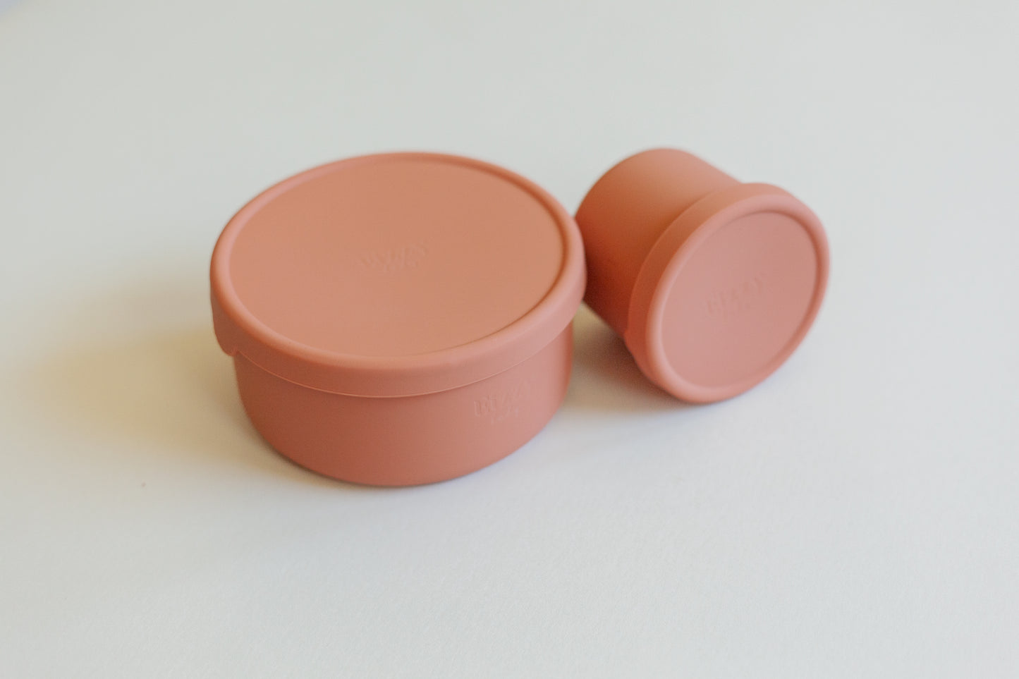 Silicone Bowls with Lids (2 piece set)