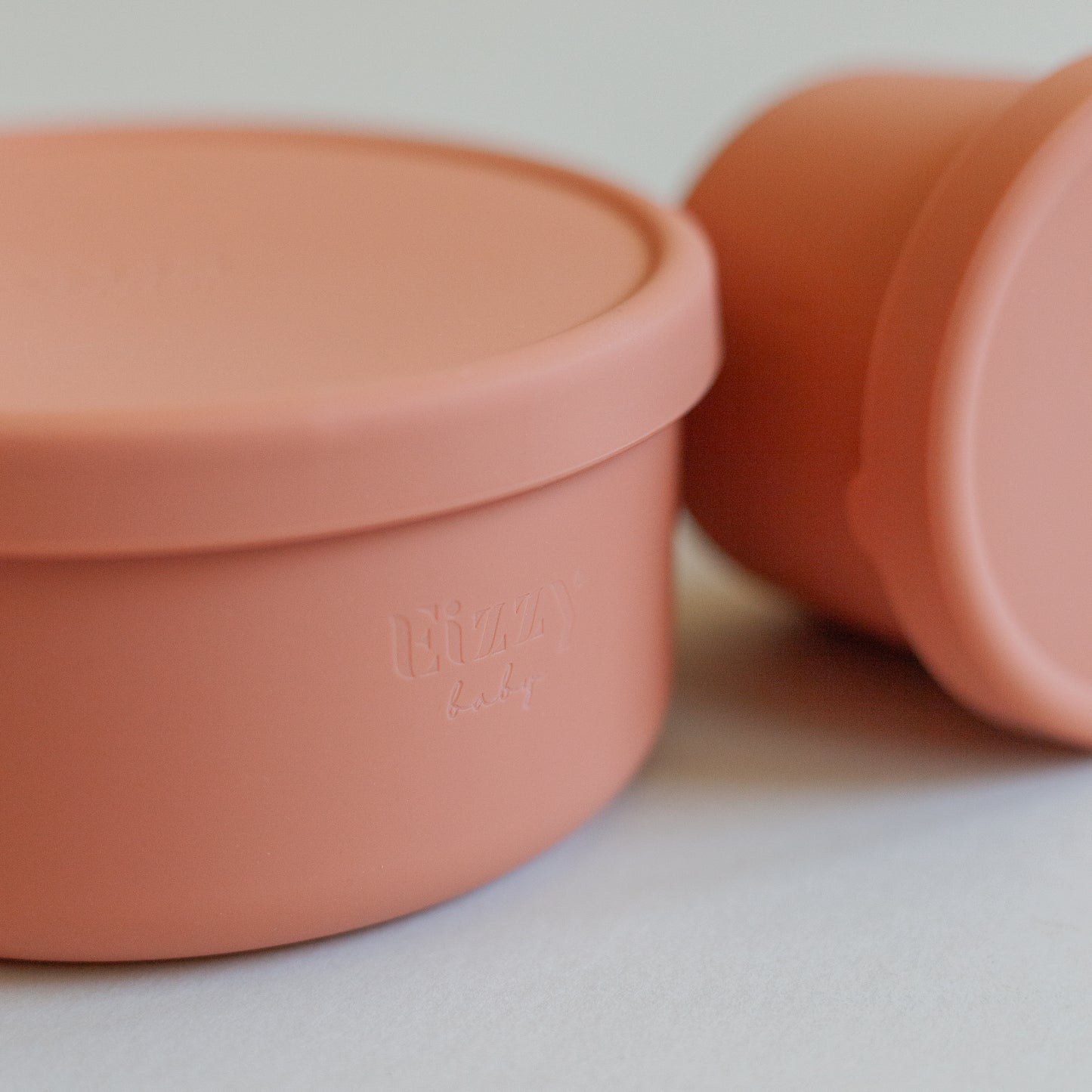 Silicone Bowls with Lids (2 piece set)