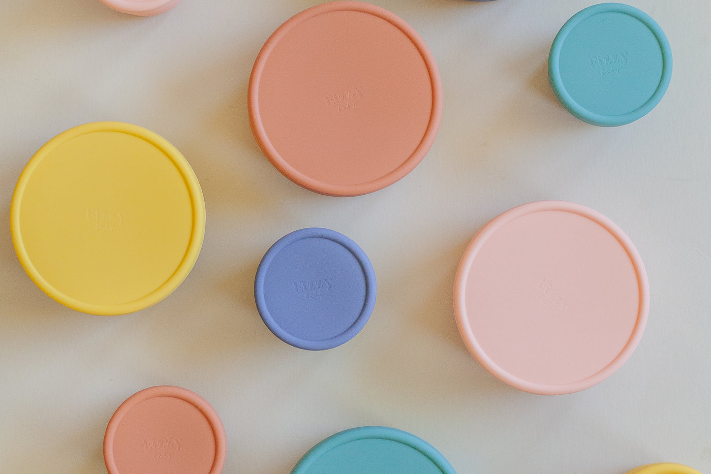 Silicone Bowls with Lids (2 piece set)