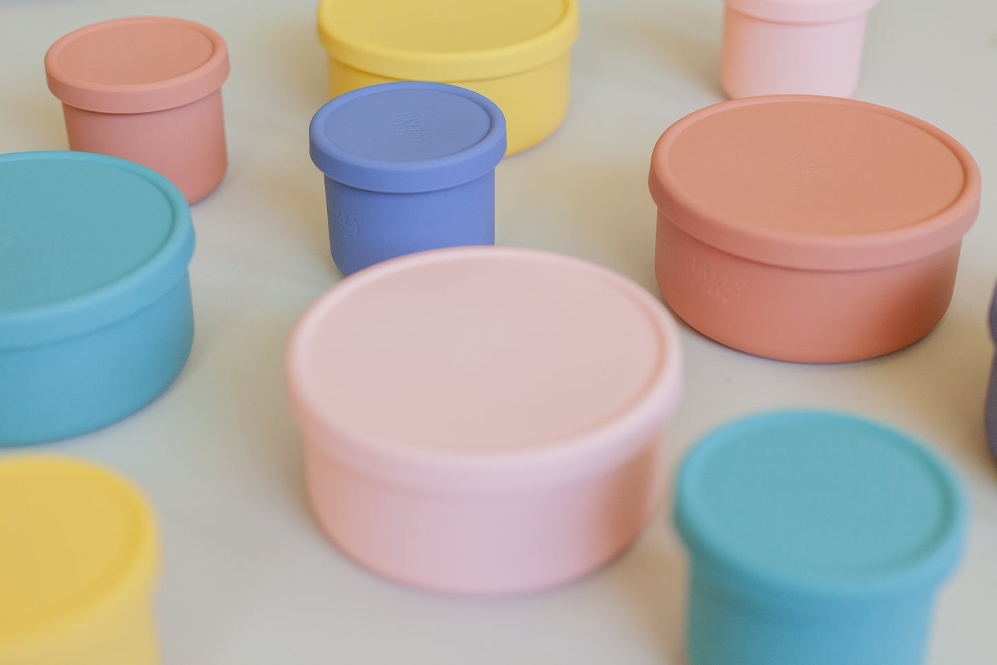 Silicone Bowls with Lids (2 piece set)