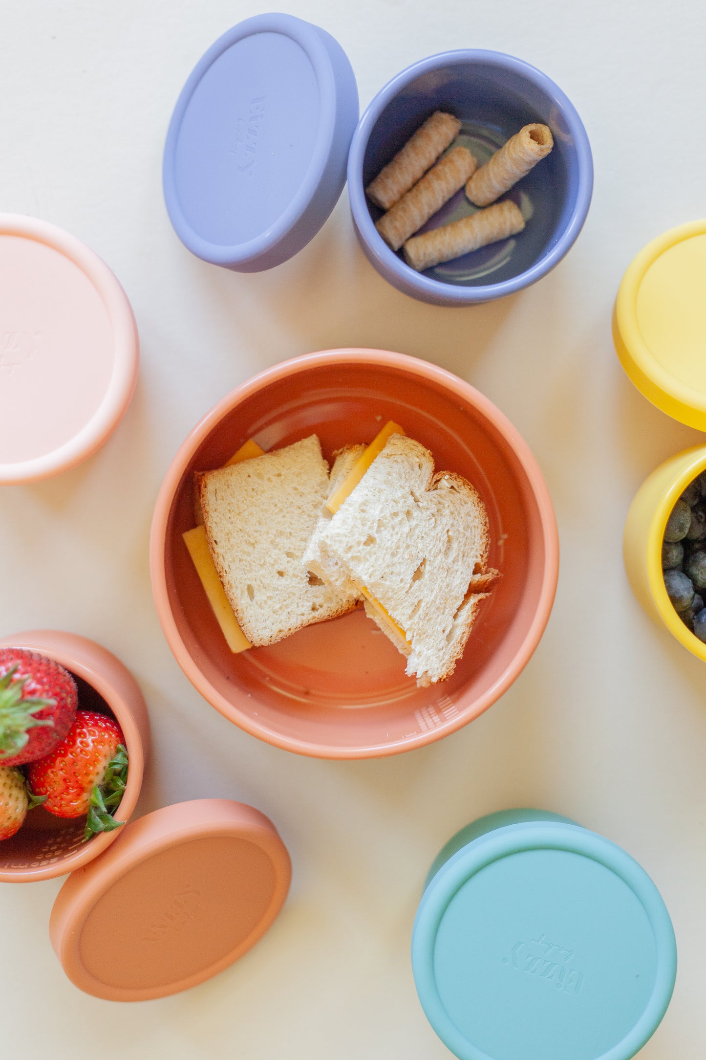 Silicone Bowls with Lids (2 piece set)