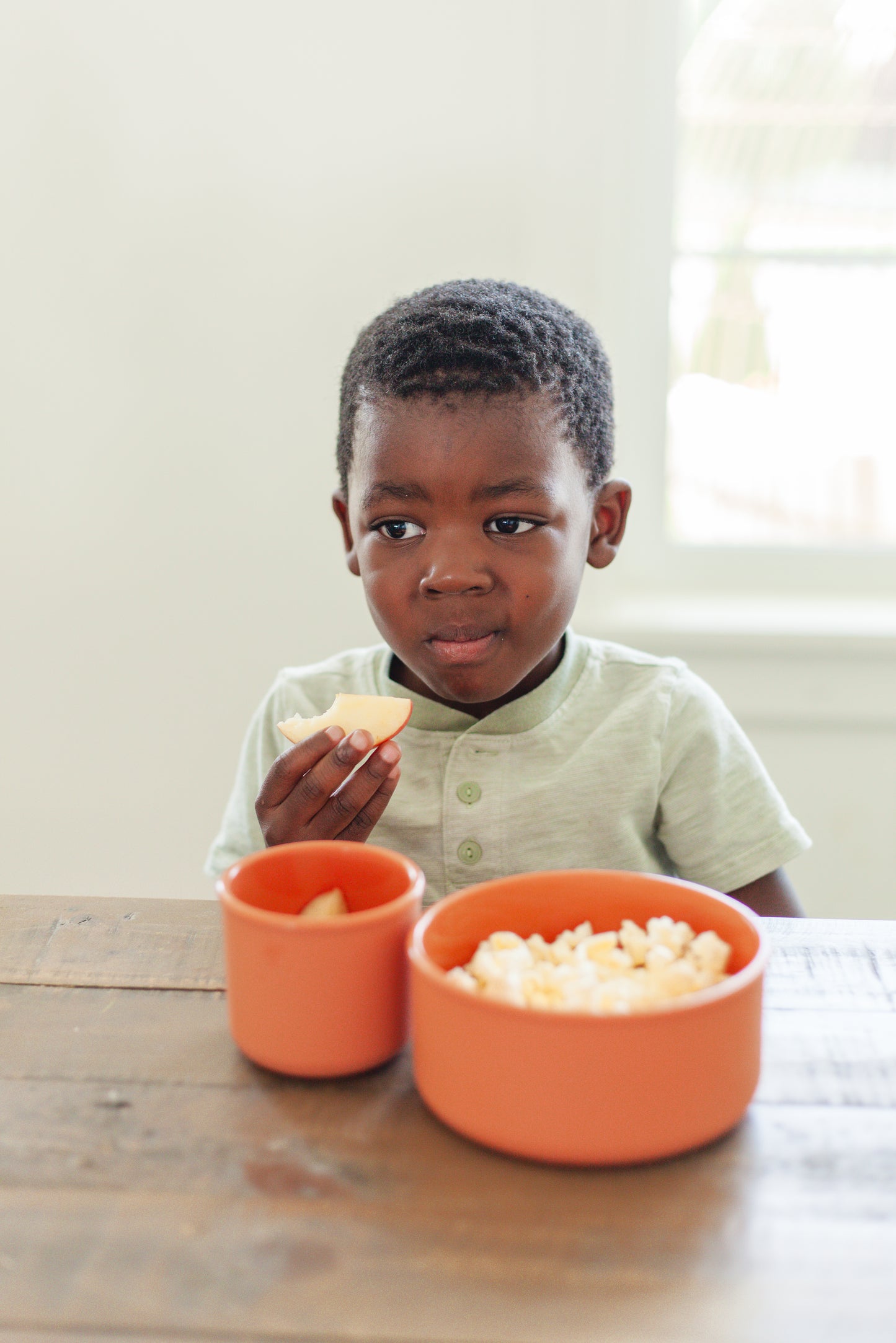 Silicone Bowls with Lids (2 piece set)