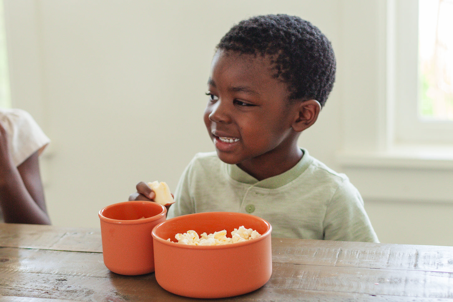 Silicone Bowls with Lids (2 piece set)