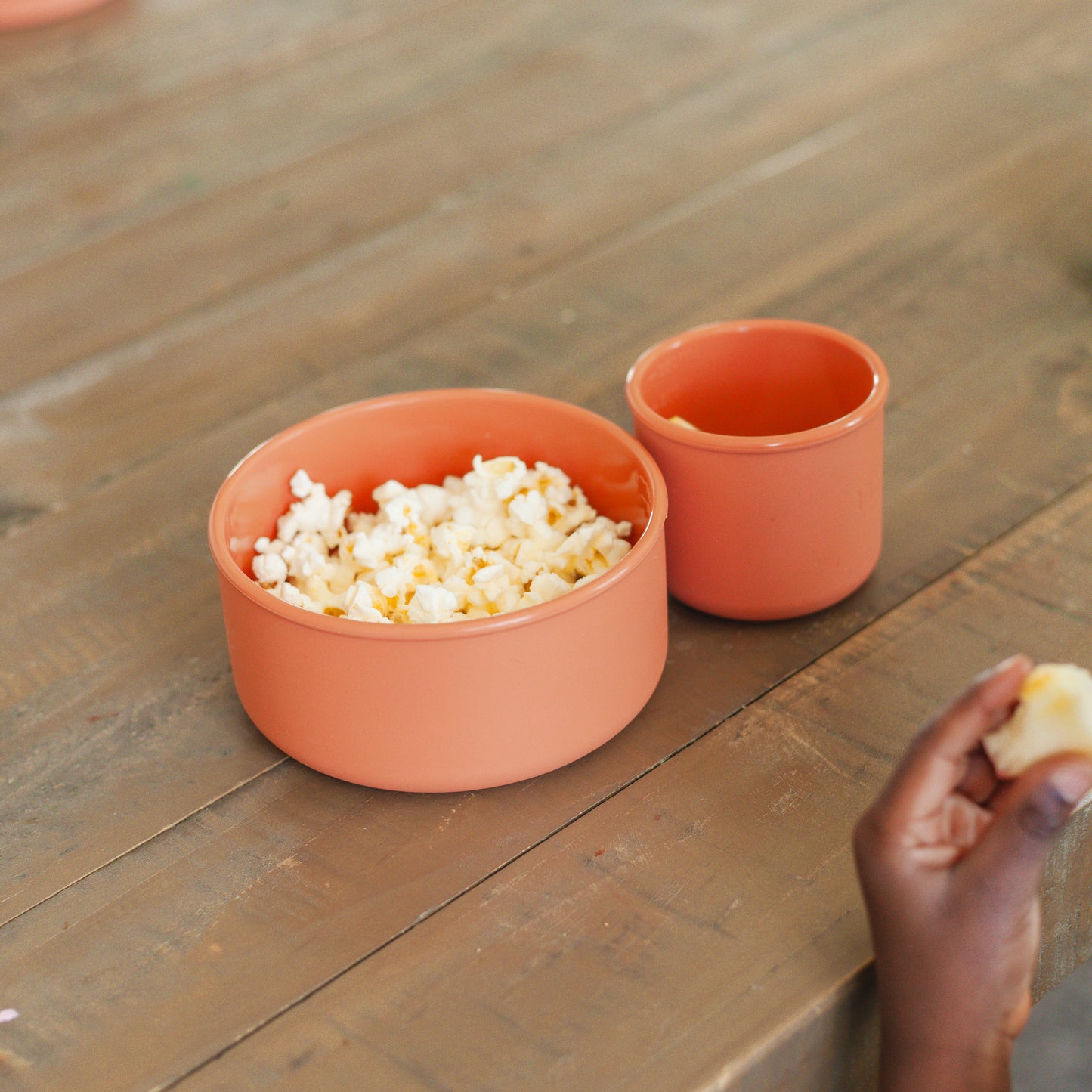 Silicone Bowls with Lids (2 piece set)